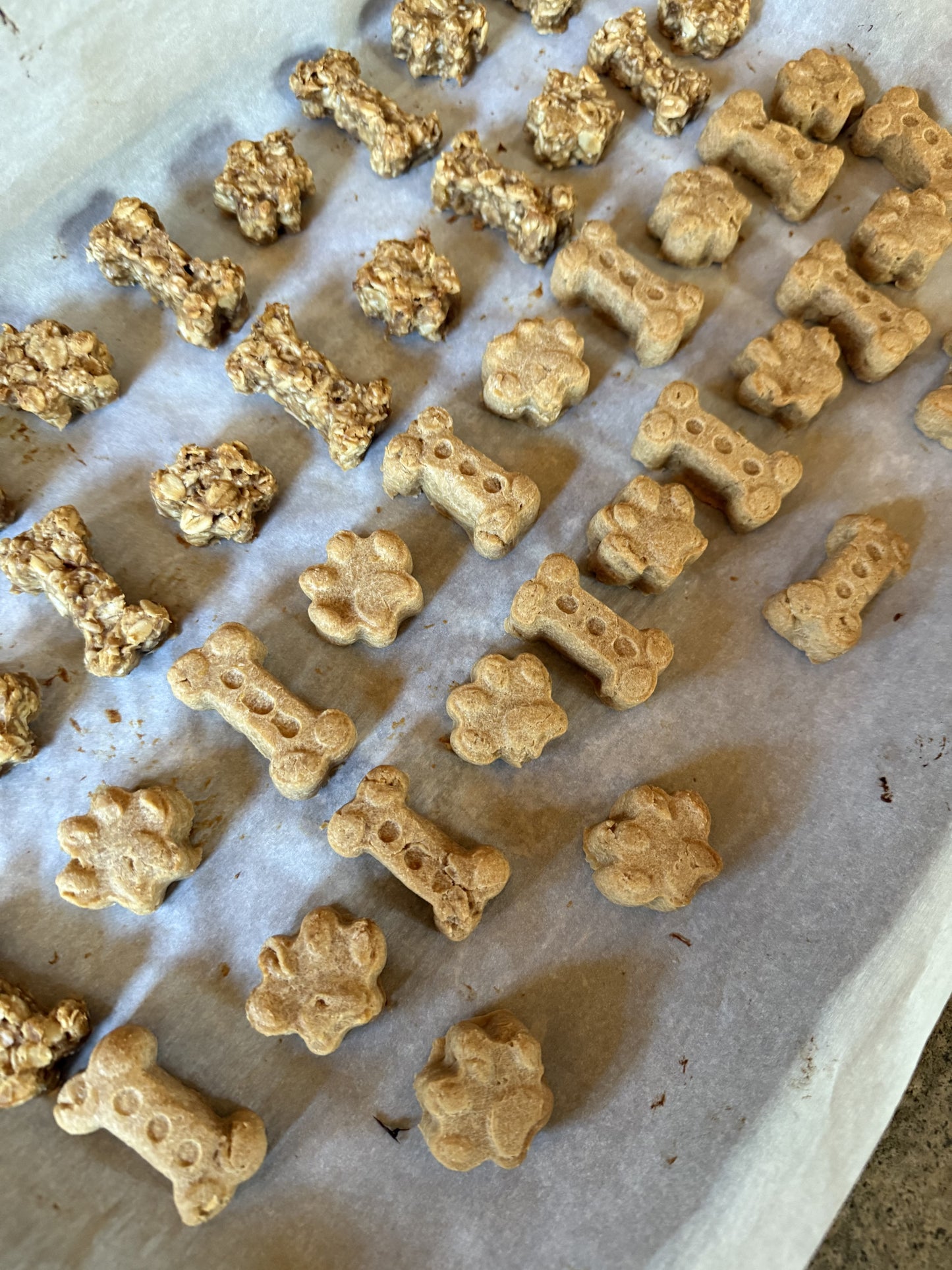 Peanut-Butter Bones (Mini & Regular)