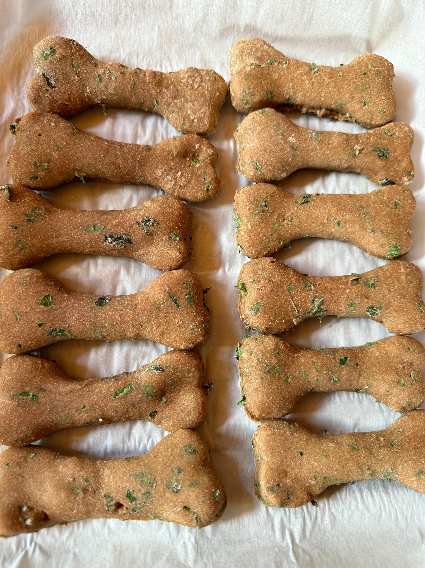 Mint Bones (Mini & Regular)